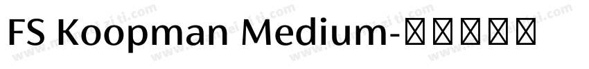 FS Koopman Medium字体转换